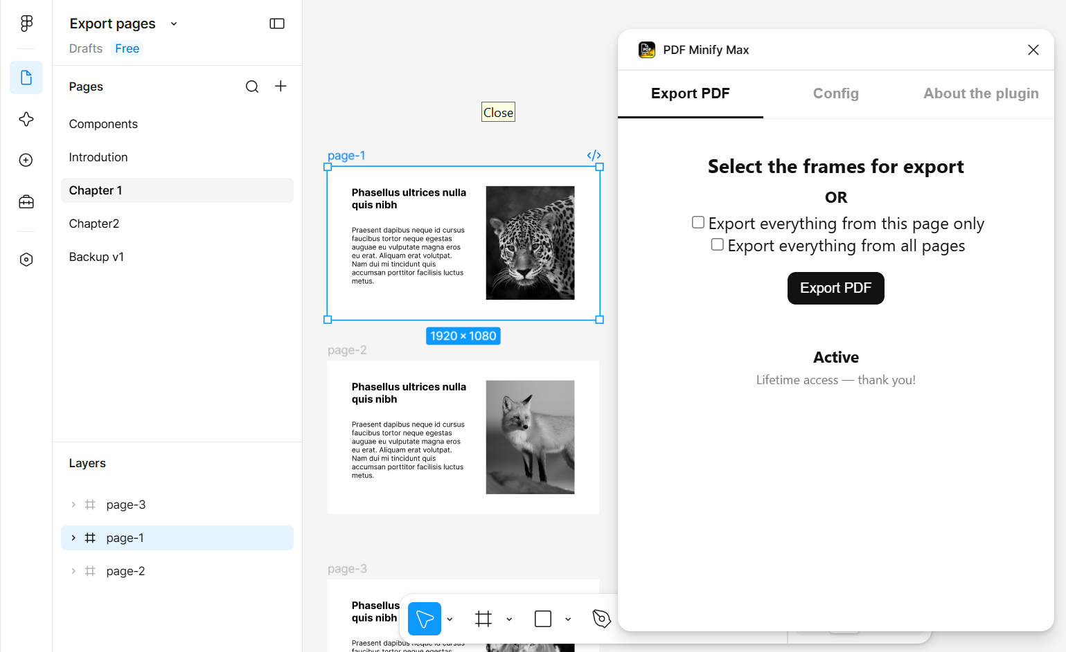 PDF Minify Max - Export Individually selected frames