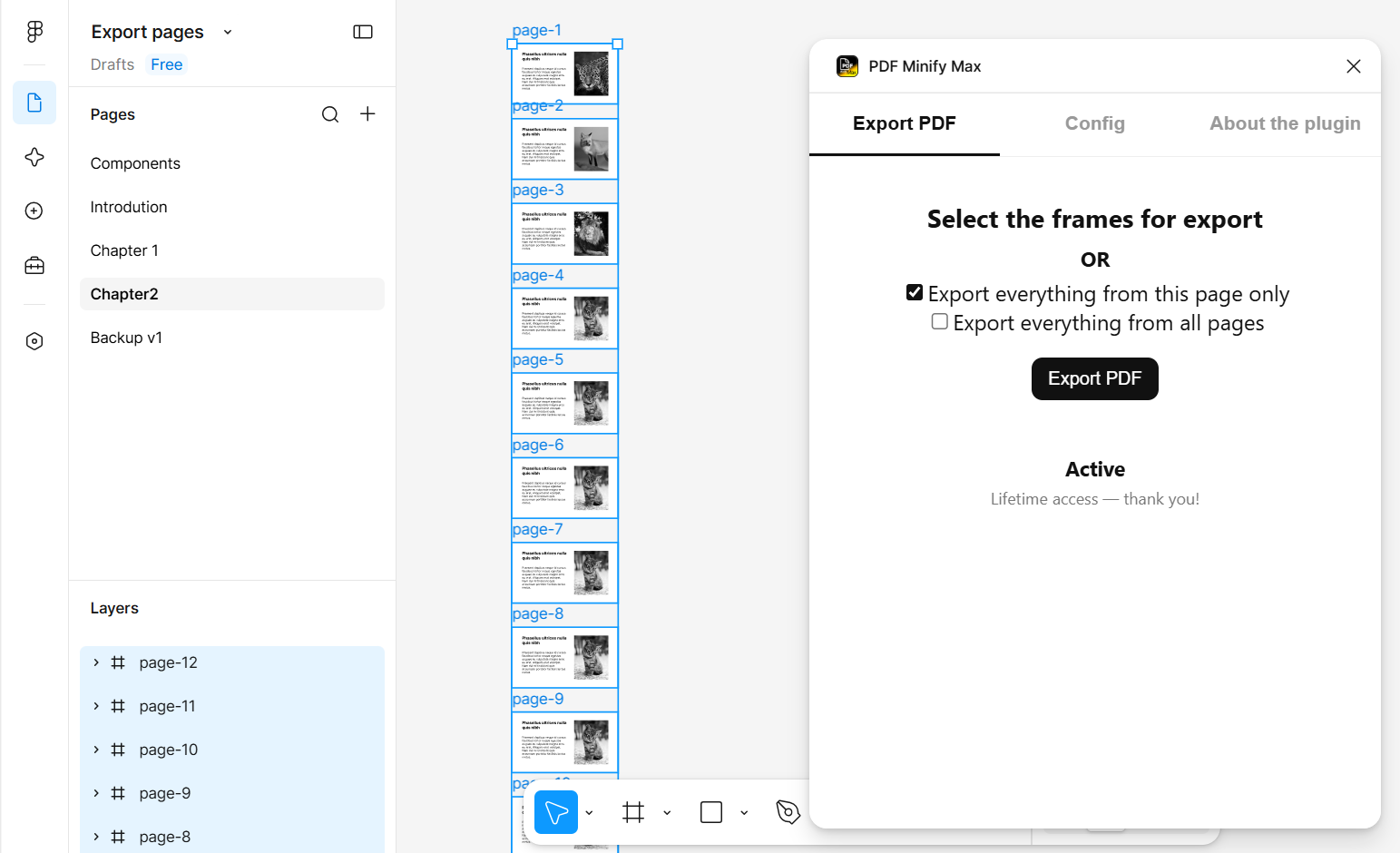 PDF Minify Max - Export all frames on the current page